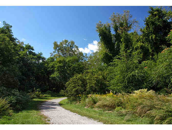 Private Tour of Arnold Arboretum