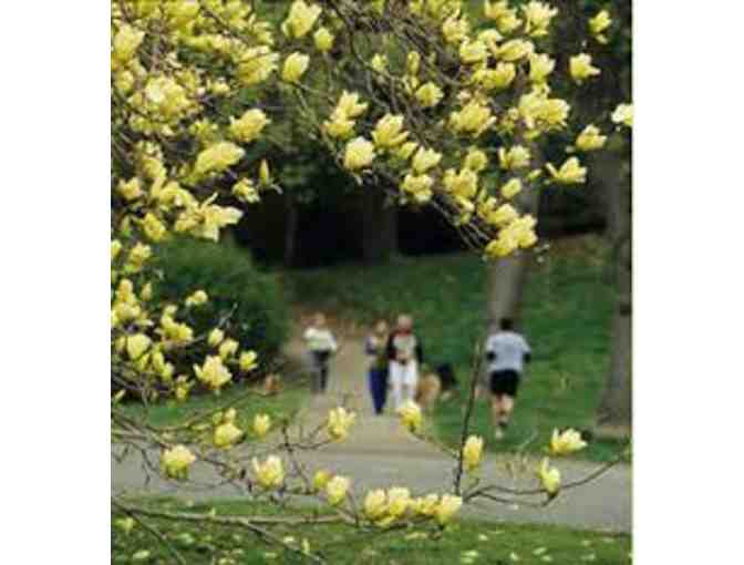 Private Tour of Arnold Arboretum