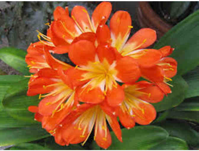 Tower Hill Botanic Garden