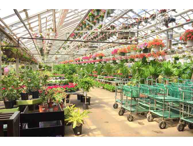 Mahoney's Garden Center Gift Certificate