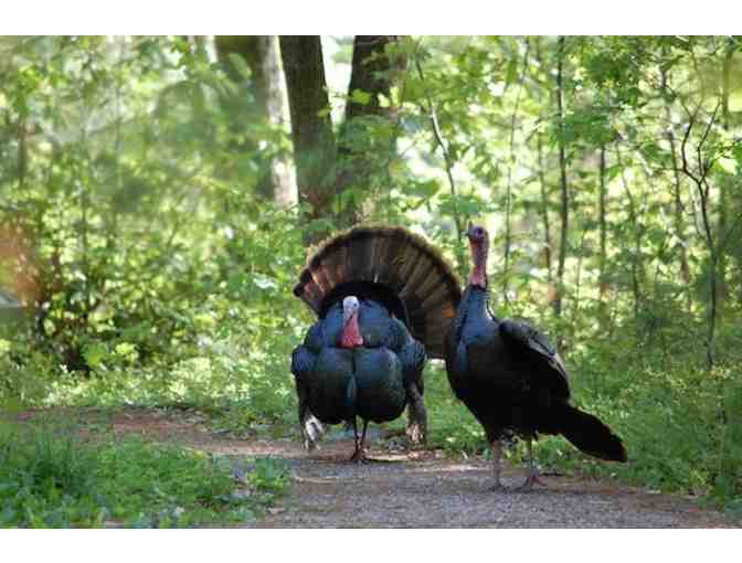 Tower Hill Botanic Garden