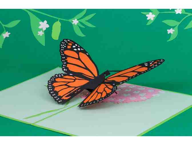 Lovepop Greeting Cards