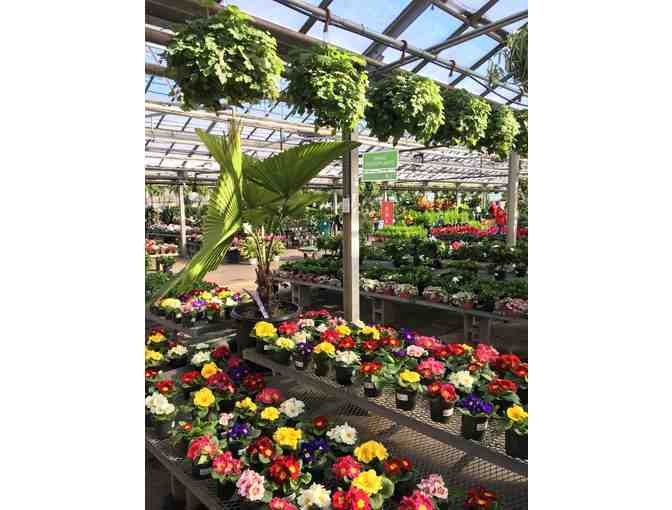 Mahoney's Garden Center Gift Certificate