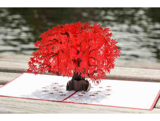 Lovepop Greeting Cards