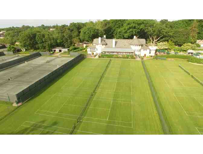 Grass Court Tennis