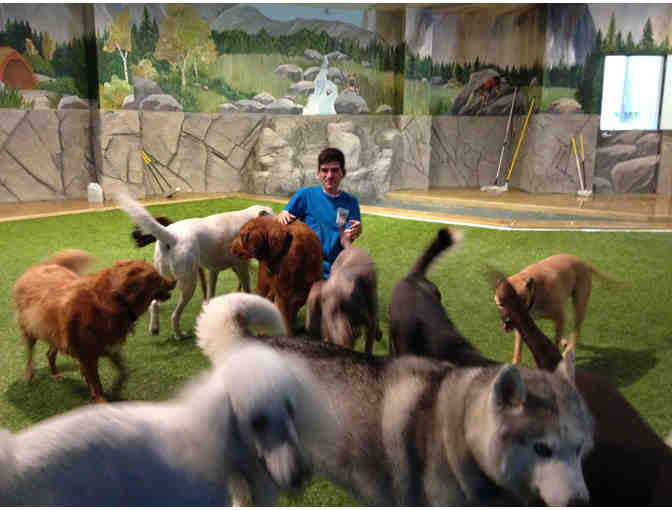 Doggie Daycare...and More - 4 Full Days of Dog Care