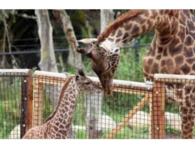 Santa Barbara Zoo - 2 Admission Passes and one Parking Pass