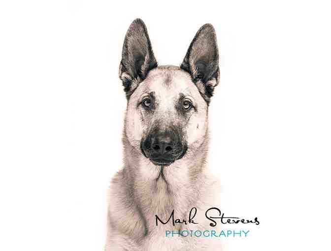 Fine Art Family Portrait Session + Artwork Credit