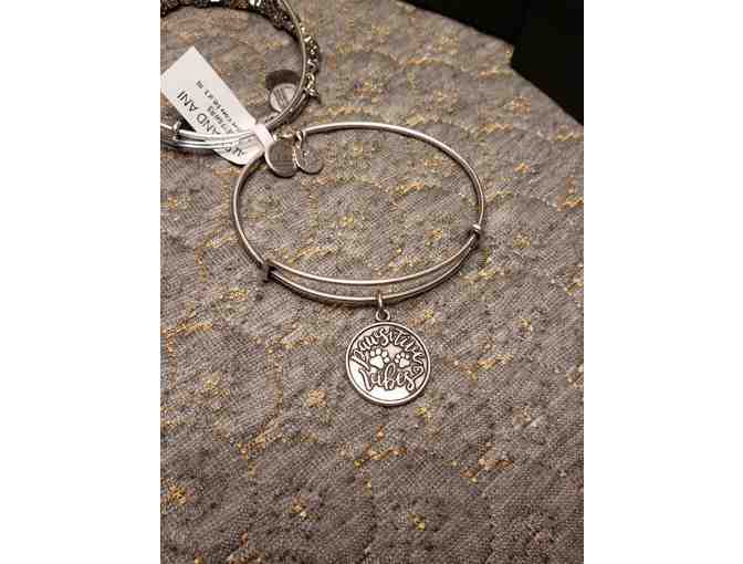 ALEX AND ANI Pawsitive Vibes Bracelets - Set of 3