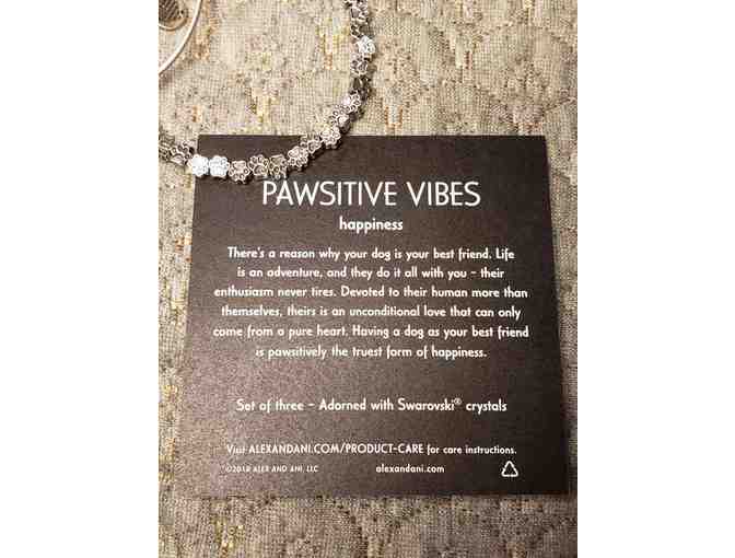 ALEX AND ANI Pawsitive Vibes Bracelets - Set of 3