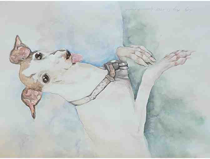 Under Lily's Watchful Eye