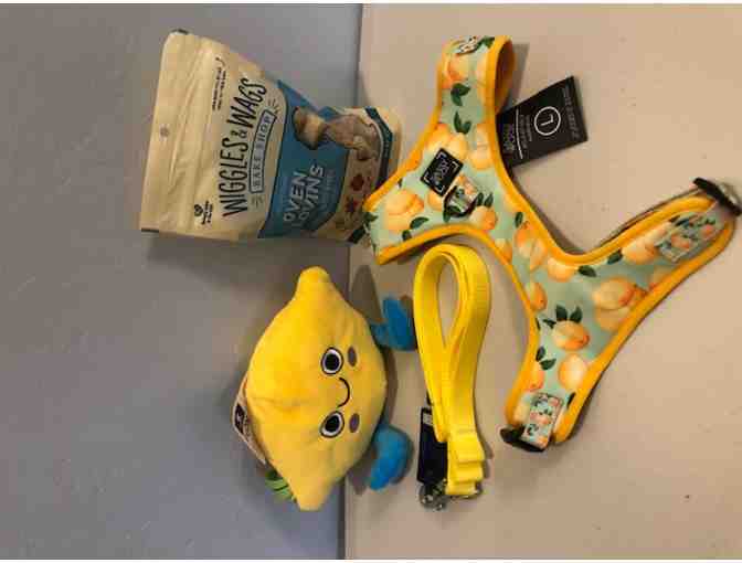 Happy Dog Gift Basket