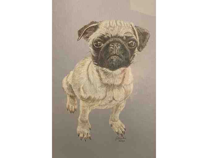 Custom Pet portraits by Jane Hicks