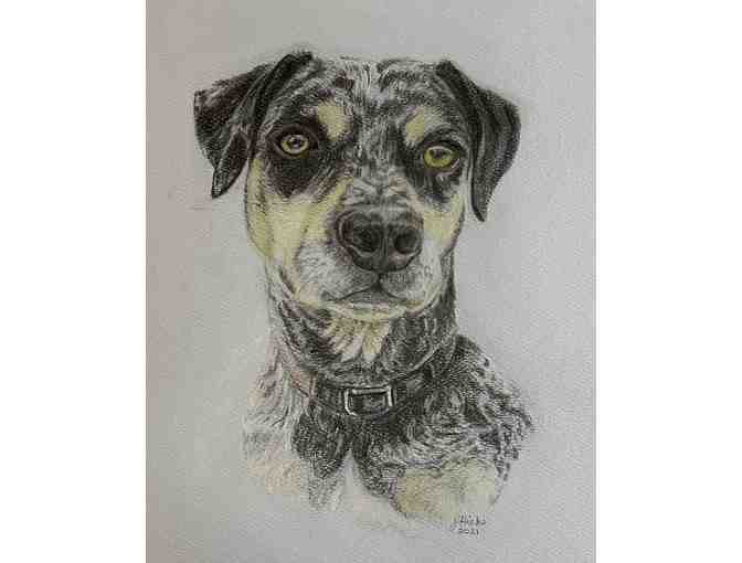 Custom Pet portraits by Jane Hicks