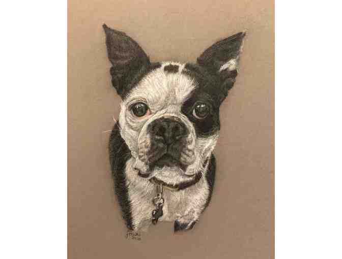 Custom Pet portraits by Jane Hicks