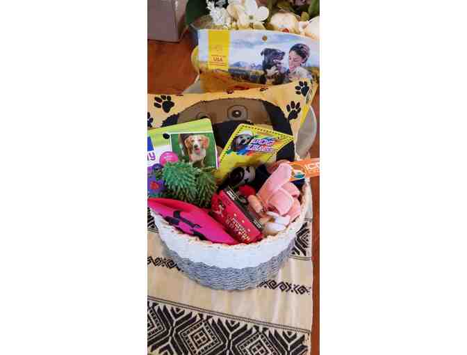 Basket of Doggie Supplies
