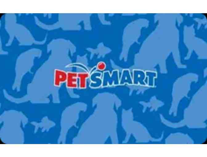 Set of Two gift cards