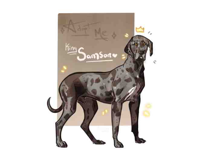 Pet Portrait Commission