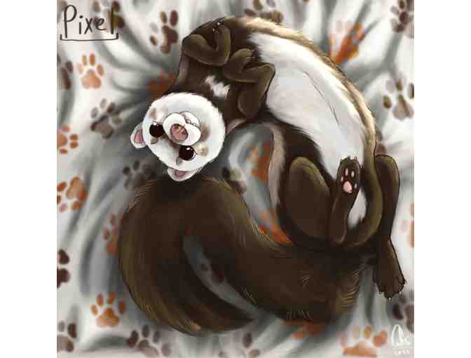 Pet Portrait Commission