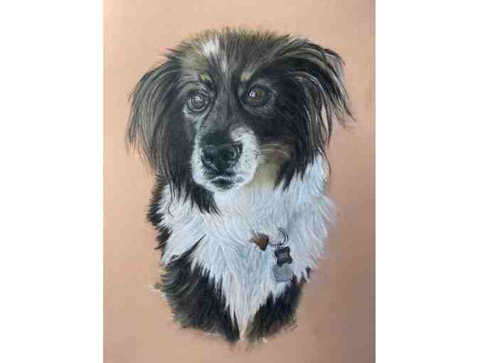 Custom Pet portraits by Jane Hicks