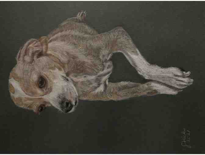 Custom Pet portraits by Jane Hicks