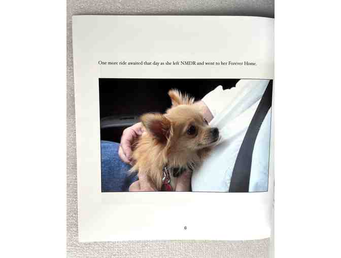 Book: Dusty - Adventures of a Puppy Mill Survivor