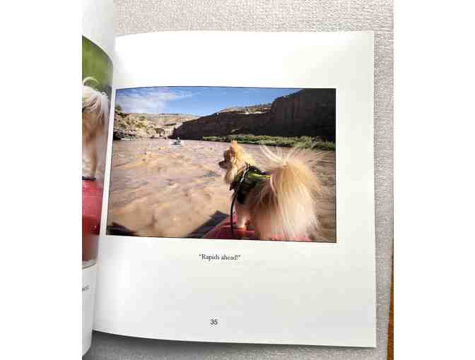 Book: Dusty - Adventures of a Puppy Mill Survivor