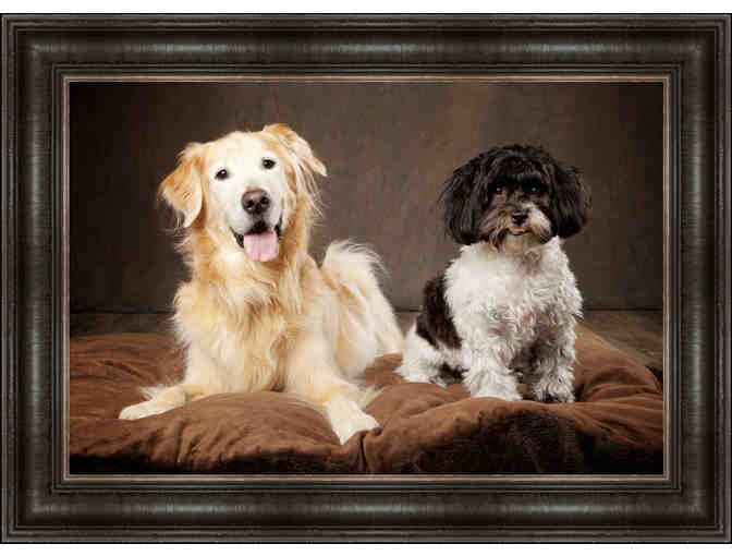 Gift Certificate- DelaFoto Pet/Family Photography