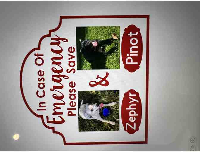 Emergency Pet Decals set of 2