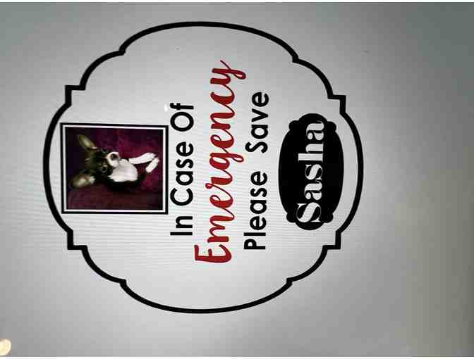 Emergency Pet Decals set of 2