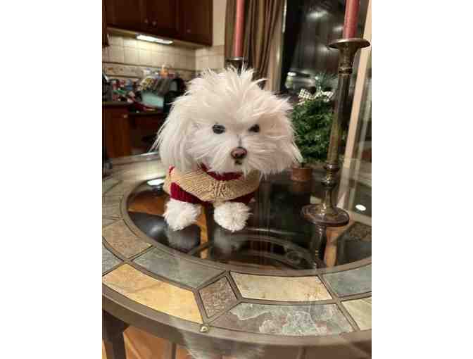 Handknit Dog Sweater - Medium-Large