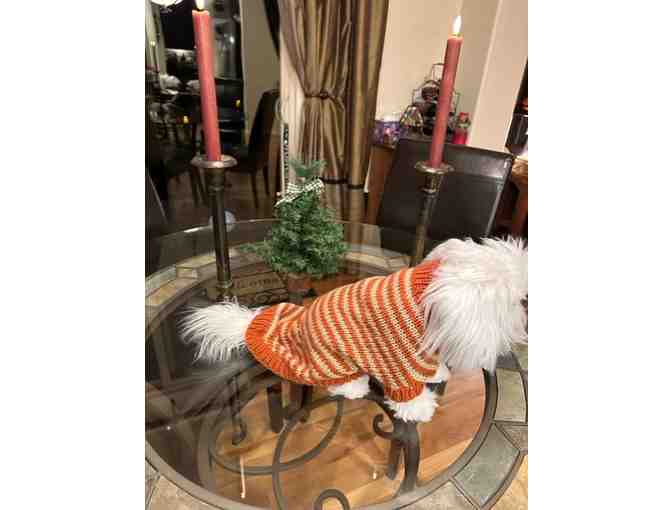 Handknit Dog Sweater - Medium