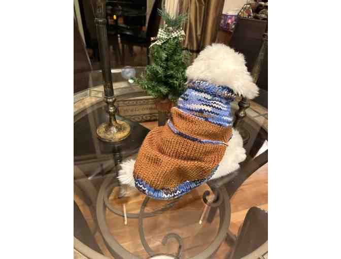 Handknit Dog Sweater - Small-Medium