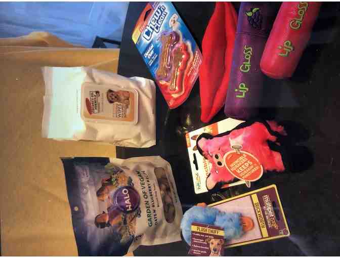 Dog Toys & Treats #1