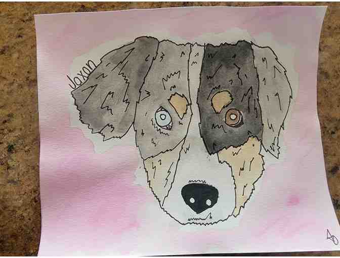 Study of Australian Shepherds Pickup at NMDR in Peyton, CO Only