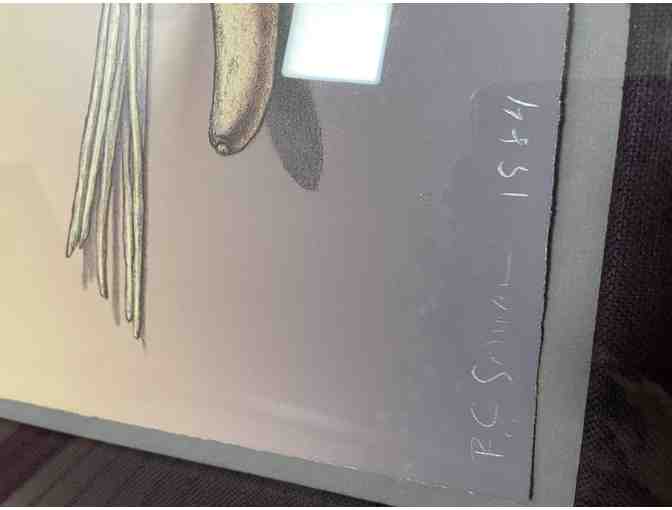 Original Signed R.C. Gorman Lith/Present. Proof (Pickup Only)