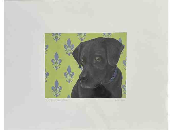 Fine Art Print - Black Lab