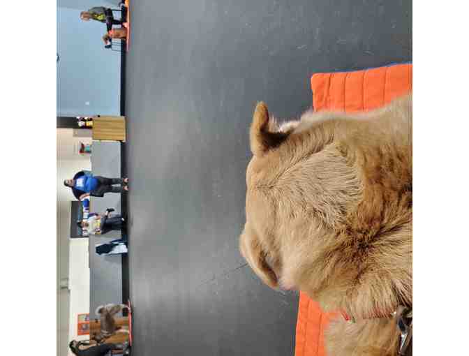 Zoom Room Gift Basket (Local Pick-Up Only)