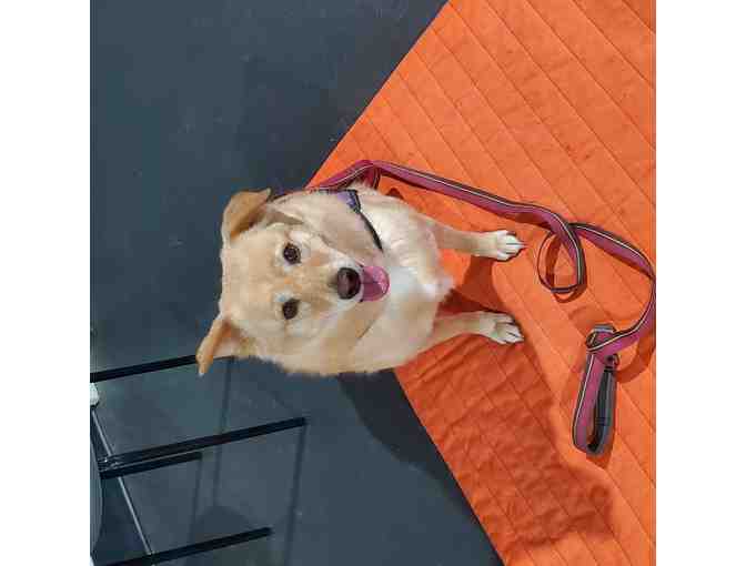 Zoom Room Gift Basket (Local Pick-Up Only)