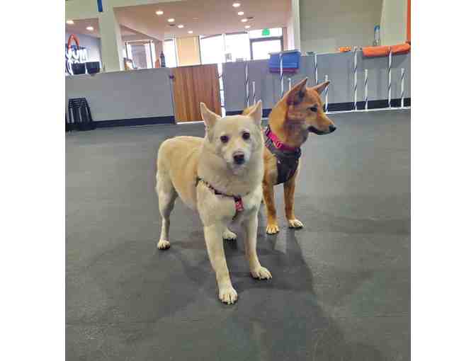 Zoom Room Gift Basket (Local Pick-Up Only)