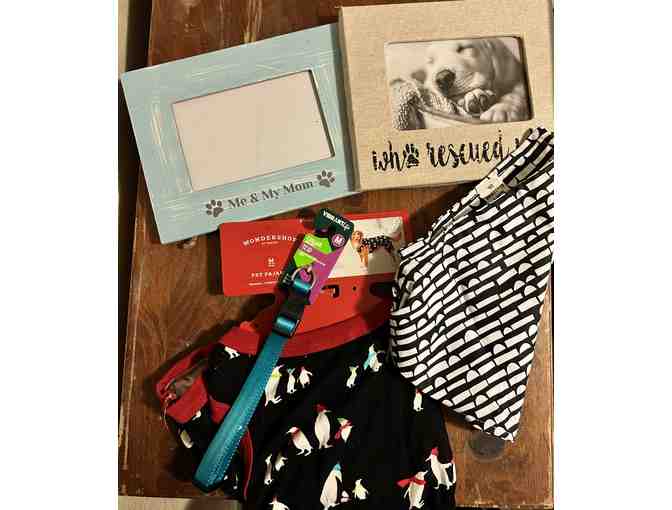 Dog Picture frame and apparel