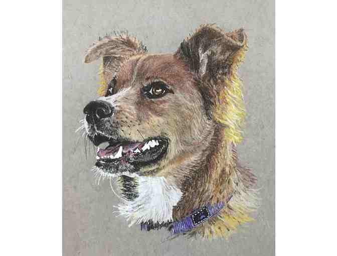 Custom Color pencil drawing of animal