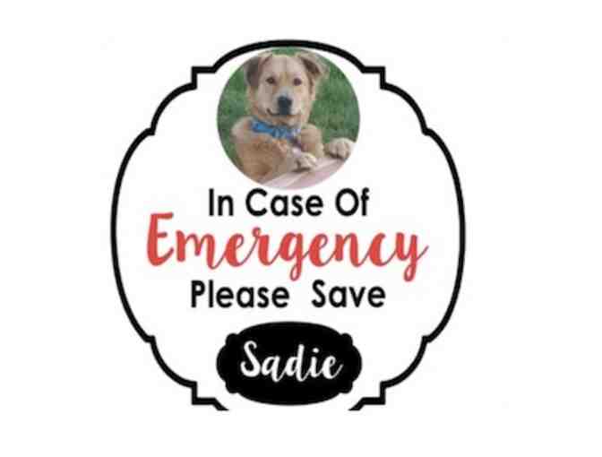 Emergency Pet Decals set of 2 #1