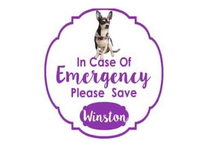 Emergency Pet Decals set of 2 #1