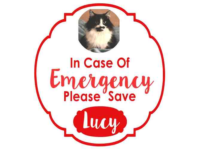 Emergency Pet Decals set of 2 #1