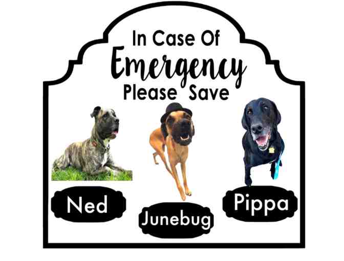 Emergency Pet Decals set of 2 #2