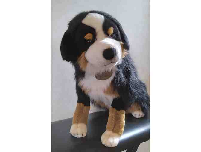 Bernese Mountain Dog Stuffed Animal