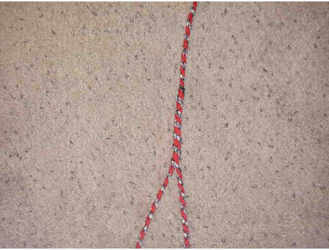 Red Double Lead Handmade Paracord Leash