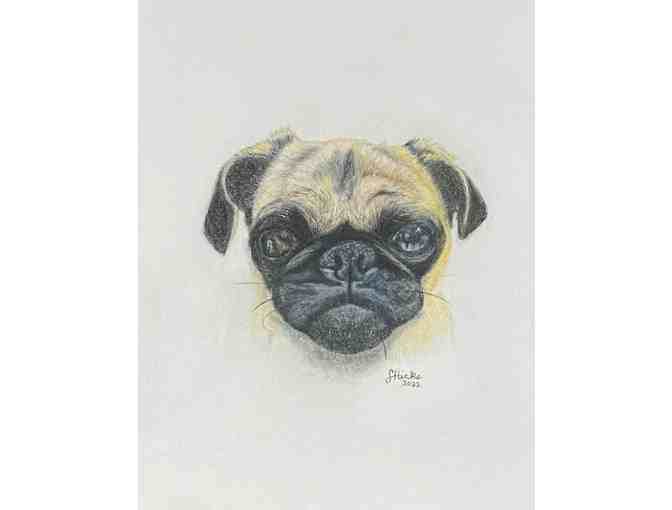 Pet Portrait by Jane Hicks