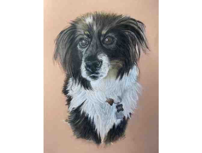 Pet Portrait by Jane Hicks